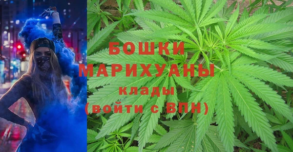 метадон Елизово