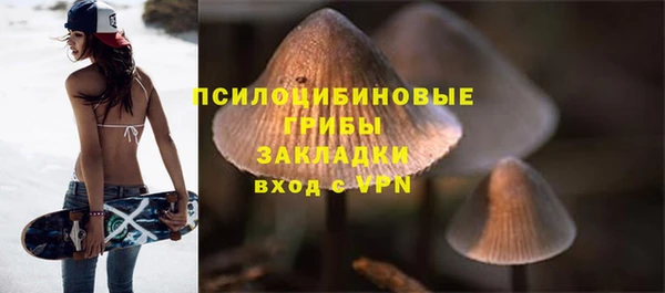 ГАЛЛЮЦИНОГЕННЫЕ ГРИБЫ Надым