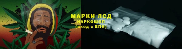 ГАЛЛЮЦИНОГЕННЫЕ ГРИБЫ Надым