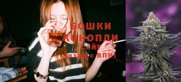 ГАЛЛЮЦИНОГЕННЫЕ ГРИБЫ Надым