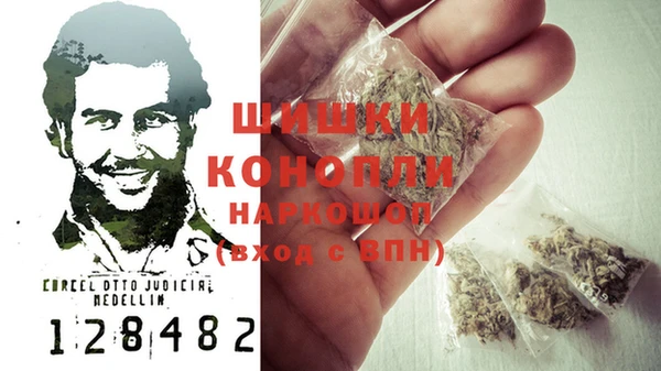 гидропоника Новозыбков