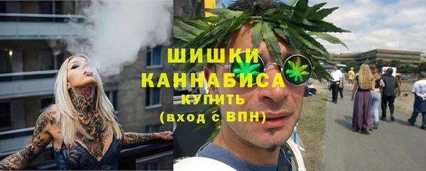 сатива Навашино