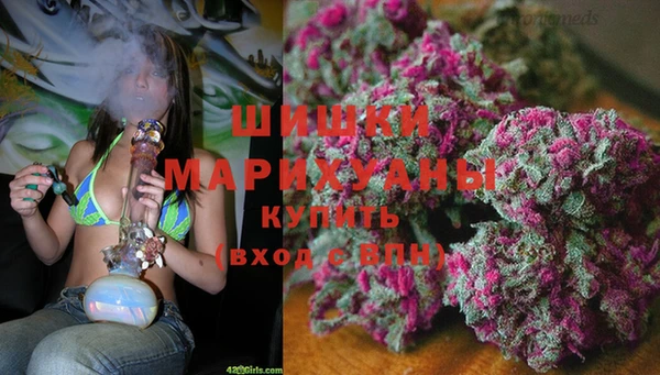 сатива Навашино