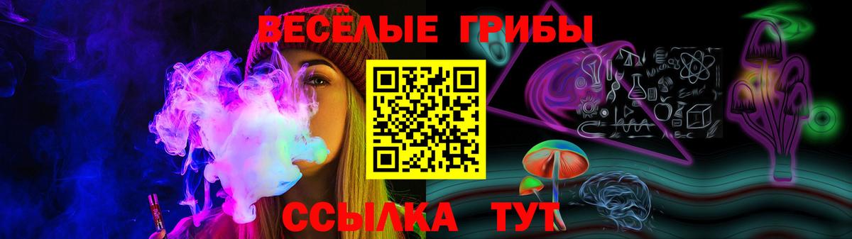 Псилоцибиновые грибы Cubensis  Вход с VPN  Саров 